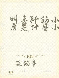 叫秦轩的小说主角是什么小说