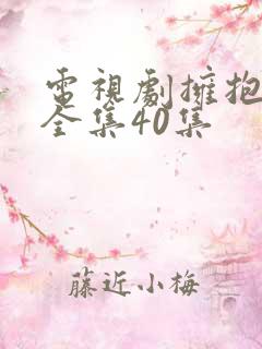 电视剧拥抱爱情全集40集