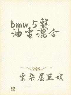 bmw 5系 油电混合 bmw 5系 油电混合