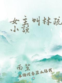 女主叫林疏月的小说