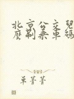 北京公交儿童怎么刷乘车码