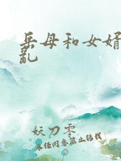 岳母和女婿的伦乱