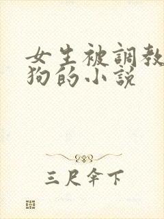 女生被调教成母狗的小说