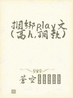 捆绑play文(高h,调教)