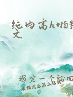 纯肉高h啪糙汉文