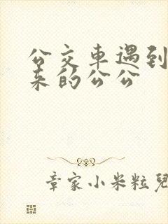 公交车遇到农村来的公公