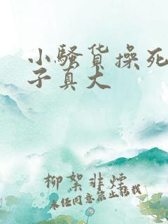 小骚货操死你奶子真大