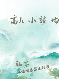 高h 小说 肉