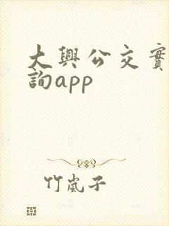 大兴公交实时查询app