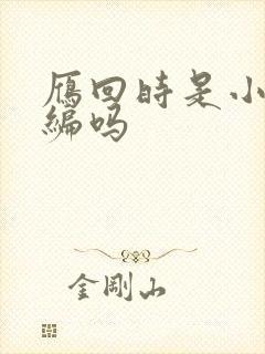 雁回时是小说改编吗