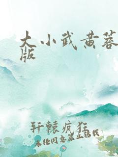 大小武黄蓉改编版