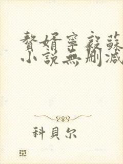赘婿宁毅苏檀儿小说无删减在线阅读