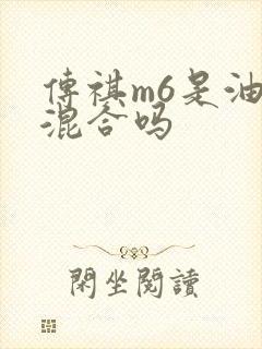 传祺m6是油电混合吗