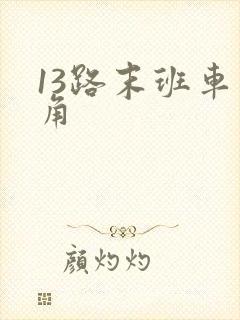13路末班车主角