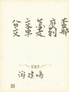 公交怎么查看公交车走到哪了