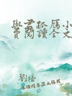 与君孤雁小说免费阅读全文最新章节