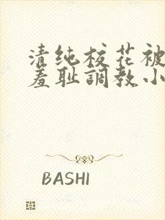 清纯校花被民工羞耻调教小说