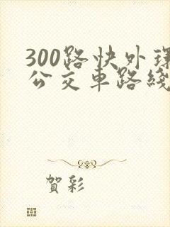 300路快外环公交车路线图