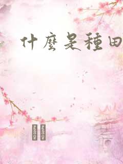 什么是种田文