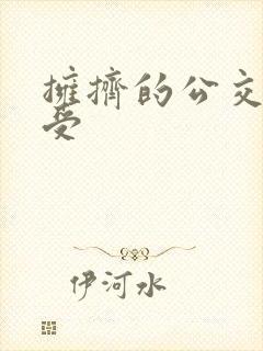 拥挤的公交车享受