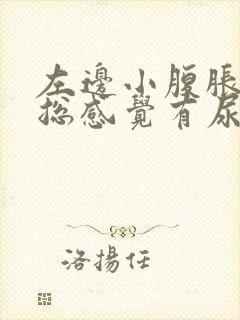 左边小腹胀痛,总感觉有尿