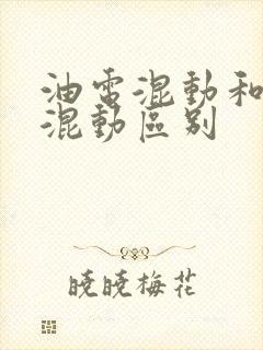 油电混动和插电混动区别