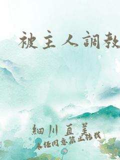 被主人调教高h