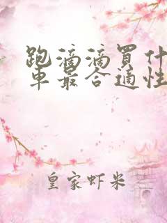 跑滴滴买什么电车最合适性价比高