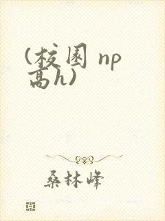 (校园 np 高h)