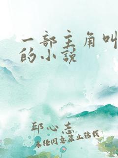 一部主角叫秦叶的小说
