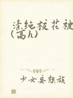 清纯校花被调教(高h)