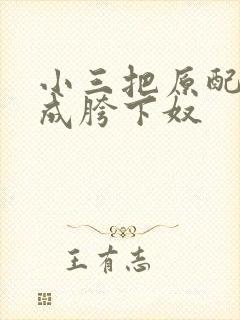 小三把原配调教成胯下奴