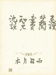 沈知意裴忌的小说免费阅读无弹窗 沈知意裴忌的小说免费阅读无弹窗