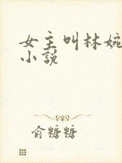 女主叫林婉言的小说