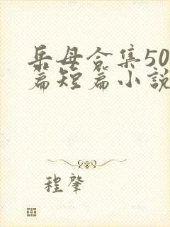 岳母合集500篇短篇小说 小说