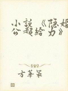 小说 《隐婚老公超给力》