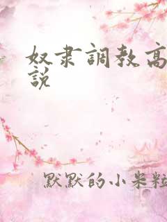 奴隶调教高h小说