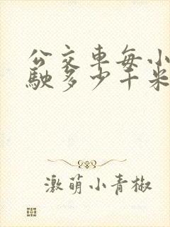 公交车每小时行驶多少千米