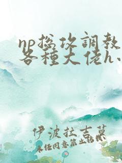 np总攻调教j各种大佬h小说