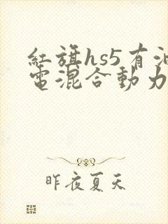 红旗hs5有油电混合动力