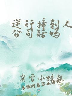 逆行撞到人保险公司赔吗 逆行撞到人保险公司赔吗