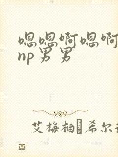 嗯嗯啊嗯啊嗯啊np男男