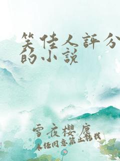 笑佳人评分最高的小说