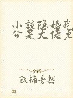 小说隐婚我的老公是大佬免费阅读