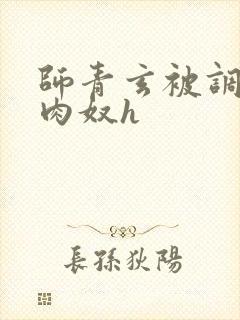 师青玄被调教成肉奴h