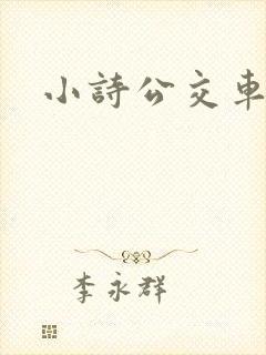 小诗公交车日记 小诗公交车日记
