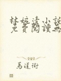 林婉清小说全文免费阅读无弹窗
