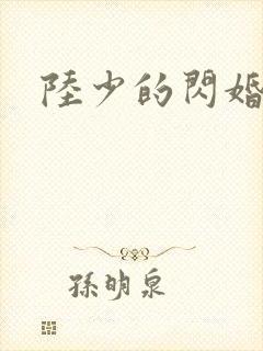陆少的闪婚新妻