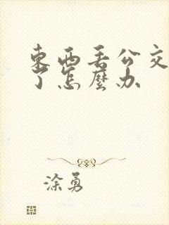 东西丢公交车上了怎么办