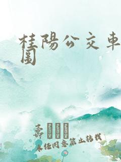 桂阳公交车路线图